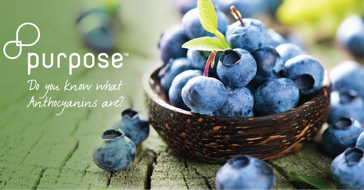 ANTHOCYANIN HELPS PURPLE TEA BENEFIT YOUR HEALTH