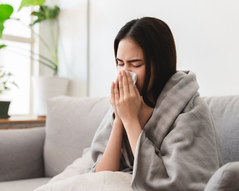 How Purple Tea Helps Your Immune Health Thrive During Cold And Flu Season