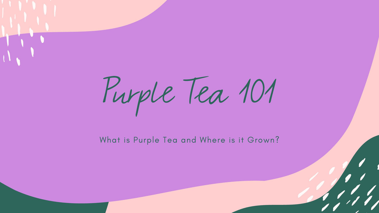 PURPLE TEA 101